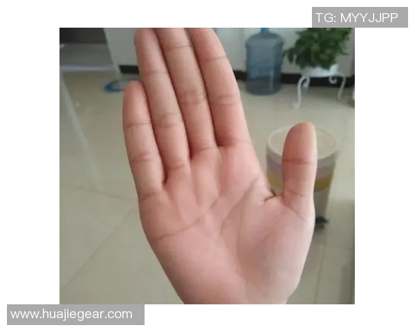 揭秘上海足球明星的手相特征与命运解析图集